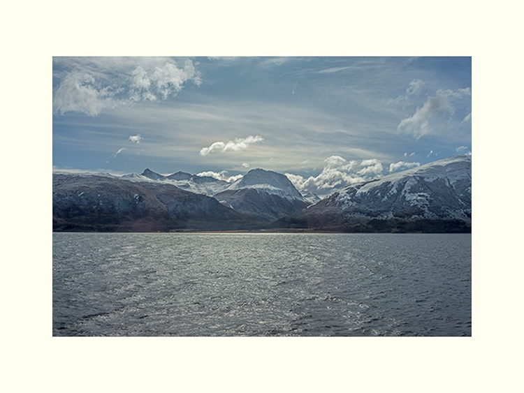 All Images By Ron MacDonnell Roberts.  © 2023.  All Rights Reserved.