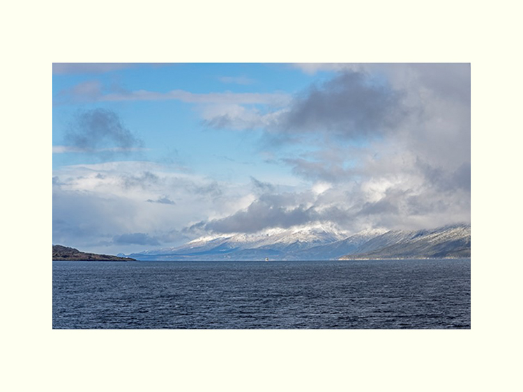 All Images By Ron MacDonnell Roberts.  © 2023.  All Rights Reserved.