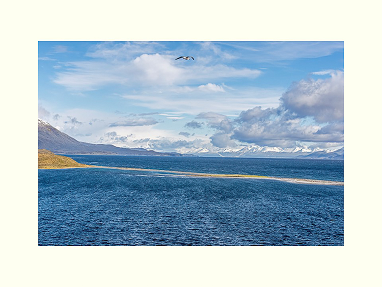 All Images By Ron MacDonnell Roberts.  © 2023.  All Rights Reserved.