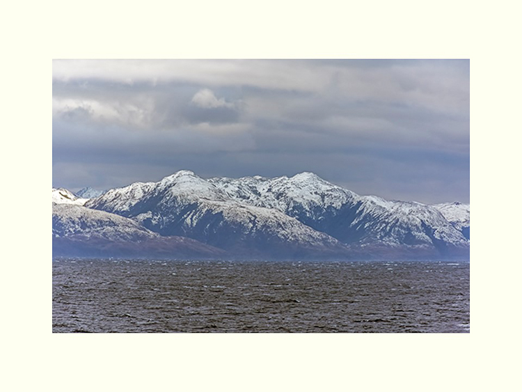 All Images By Ron MacDonnell Roberts.  © 2023.  All Rights Reserved.