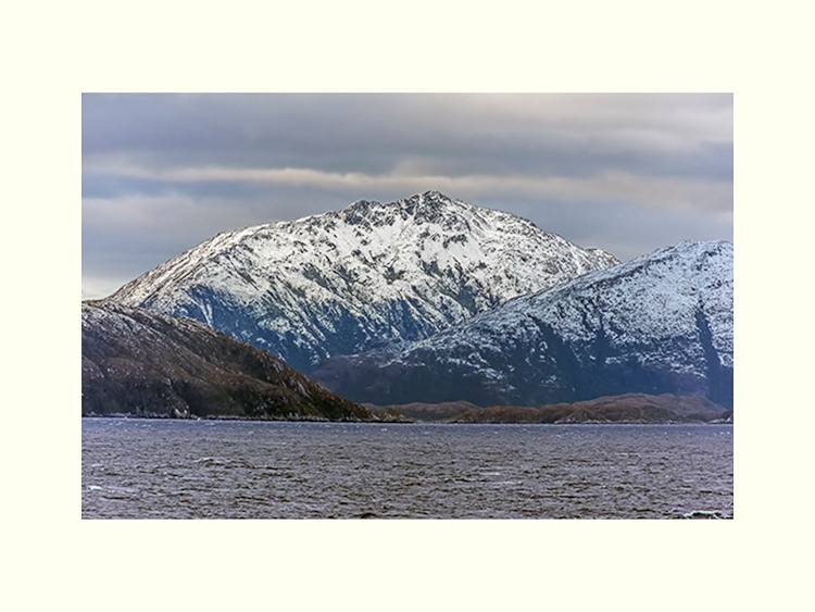 All Images By Ron MacDonnell Roberts.  © 2023.  All Rights Reserved.