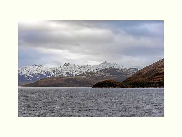 All Images By Ron MacDonnell Roberts.  © 2023.  All Rights Reserved.