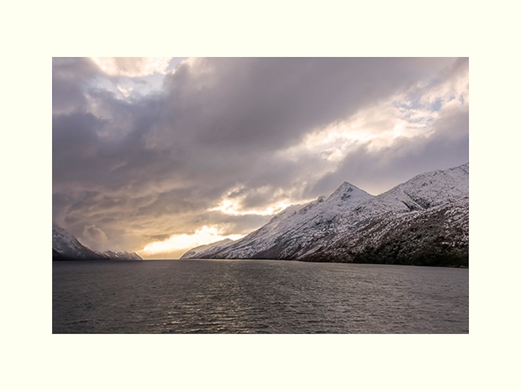 All Images By Ron MacDonnell Roberts.  © 2023.  All Rights Reserved.