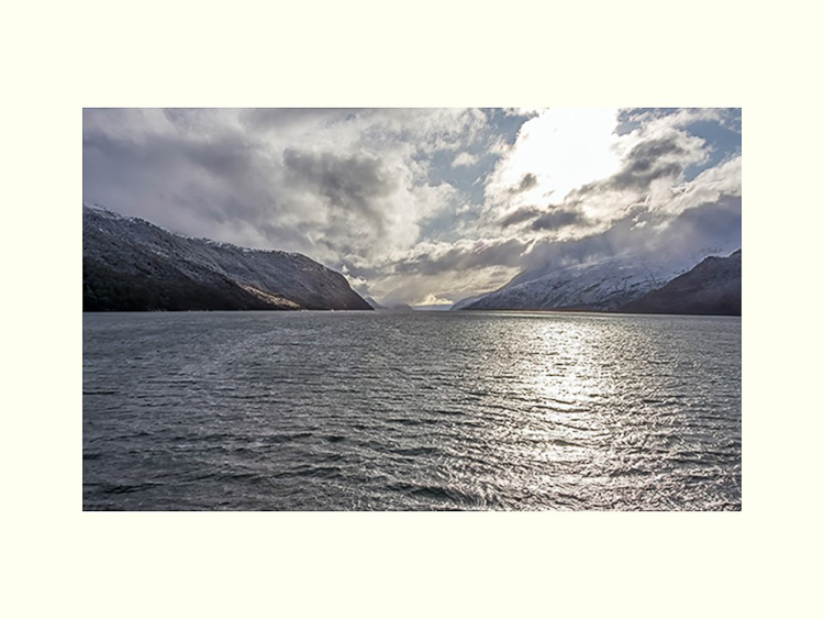All Images By Ron MacDonnell Roberts.  © 2023.  All Rights Reserved.