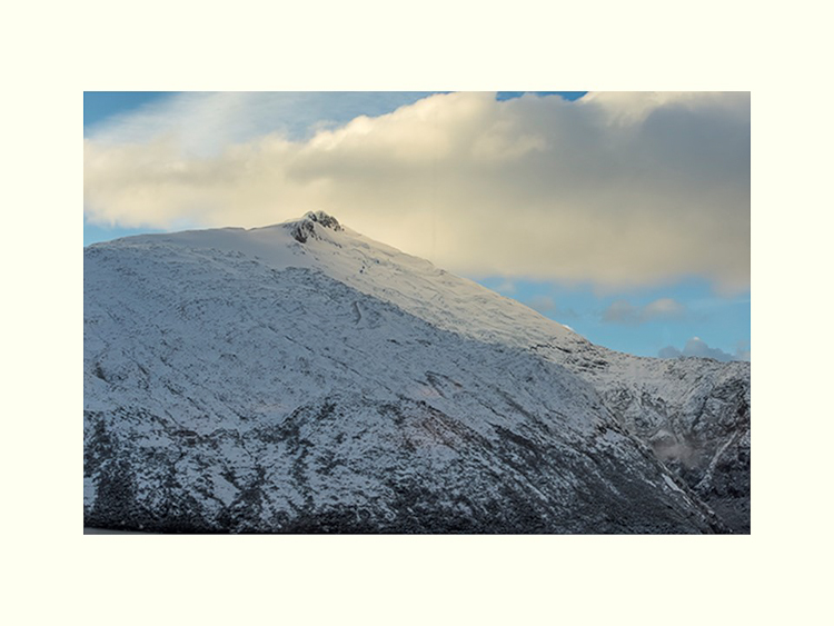 All Images By Ron MacDonnell Roberts.  © 2023.  All Rights Reserved.