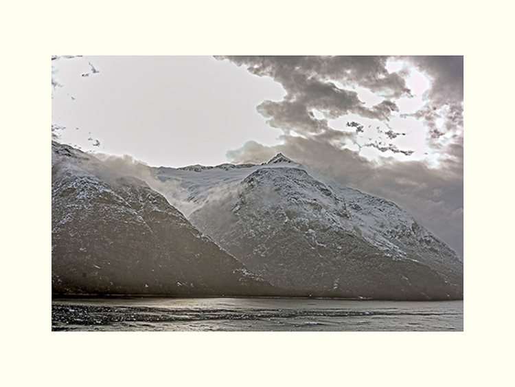 All Images By Ron MacDonnell Roberts.  © 2023.  All Rights Reserved.