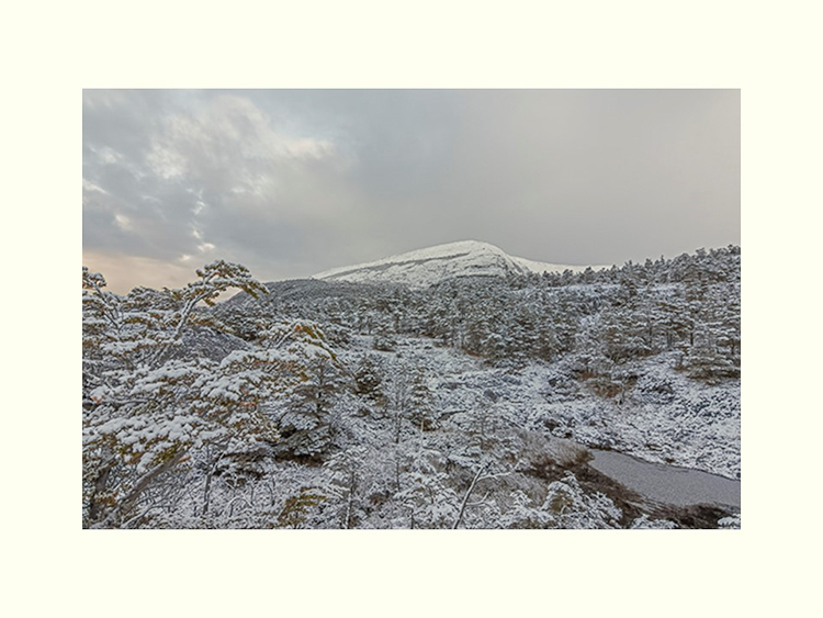 All Images By Ron MacDonnell Roberts.  © 2023.  All Rights Reserved.