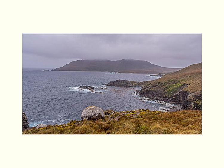 All Images By Ron MacDonnell Roberts.  © 2023.  All Rights Reserved.