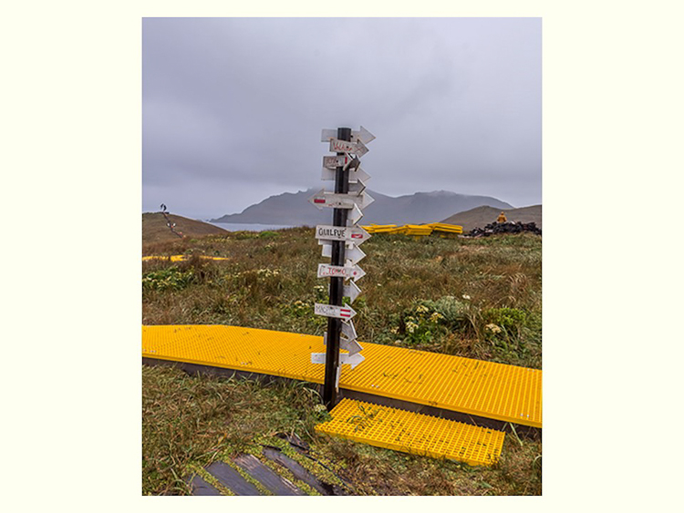 All Images By Ron MacDonnell Roberts.  © 2023.  All Rights Reserved.