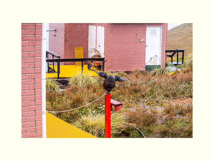 All Images By Ron MacDonnell Roberts.  © 2023.  All Rights Reserved.