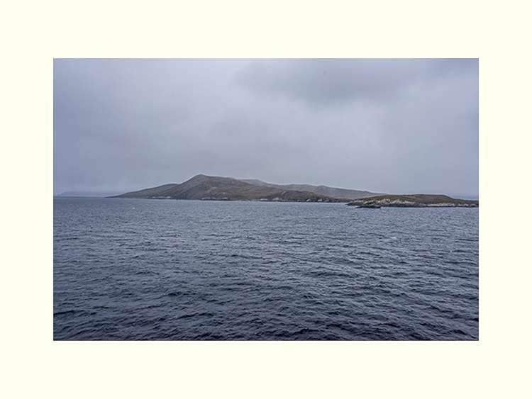 All Images By Ron MacDonnell Roberts.  © 2023.  All Rights Reserved.