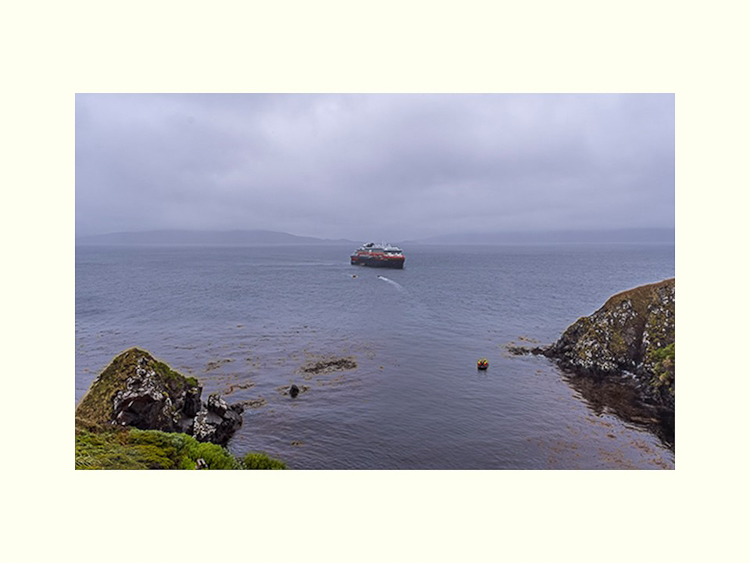 All Images By Ron MacDonnell Roberts.  © 2023.  All Rights Reserved.