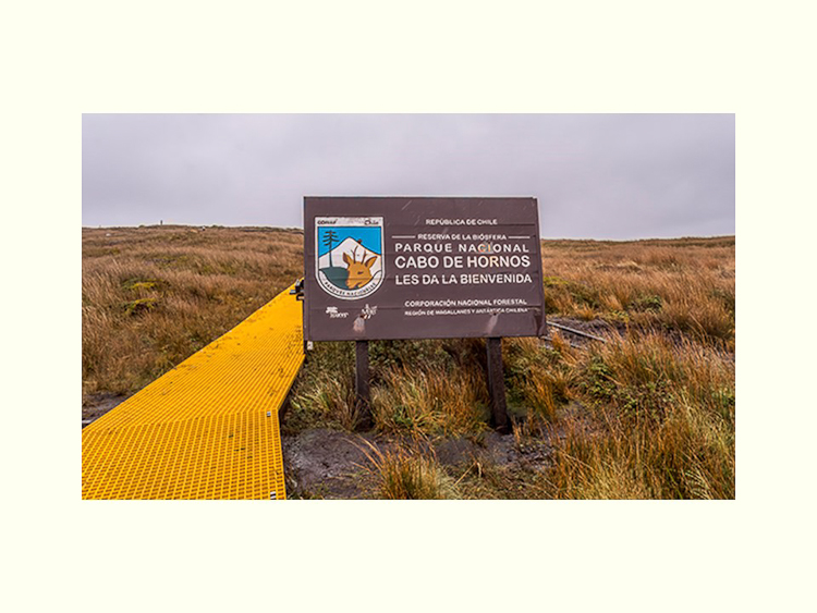 All Images By Ron MacDonnell Roberts.  © 2023.  All Rights Reserved.