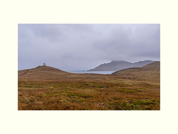 All Images By Ron MacDonnell Roberts.  © 2023.  All Rights Reserved.