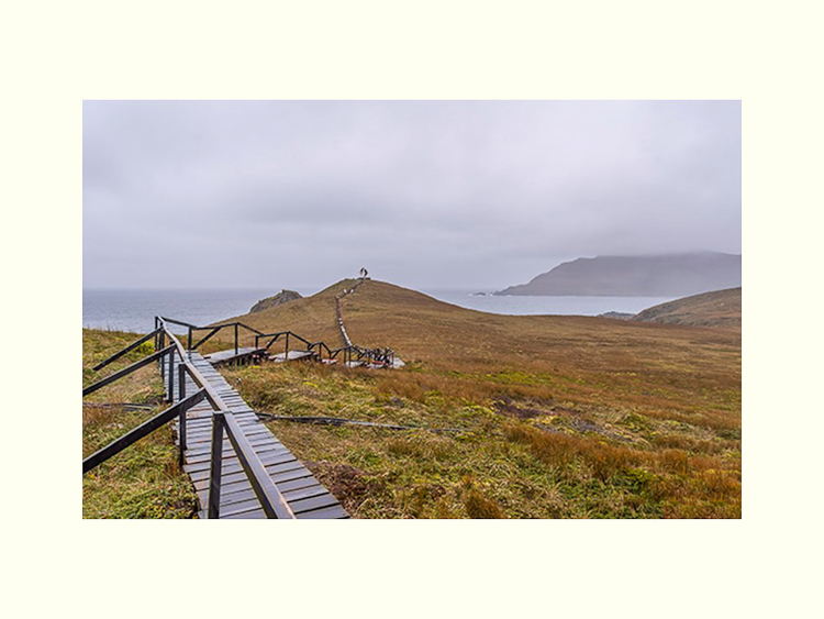 All Images By Ron MacDonnell Roberts.  © 2023.  All Rights Reserved.