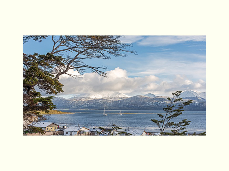 All Images By Ron MacDonnell Roberts.  © 2023.  All Rights Reserved.