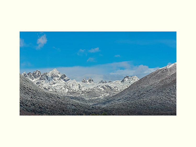 All Images By Ron MacDonnell Roberts.  © 2023.  All Rights Reserved.