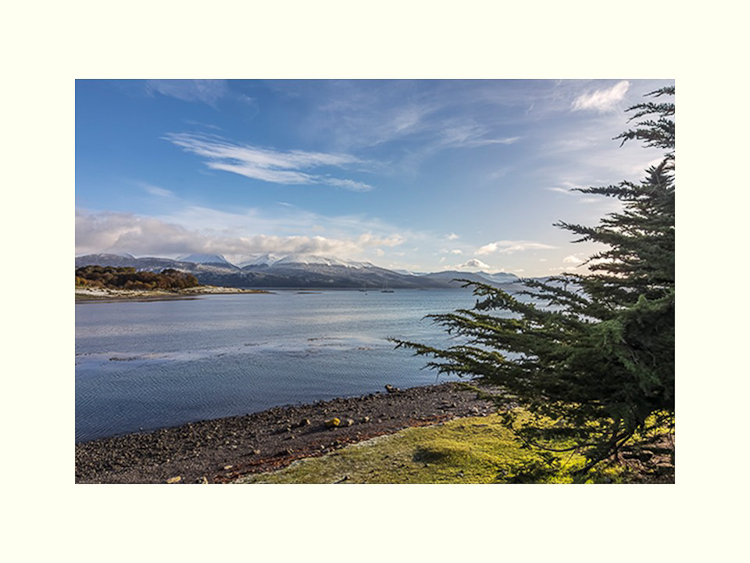 All Images By Ron MacDonnell Roberts.  © 2023.  All Rights Reserved.