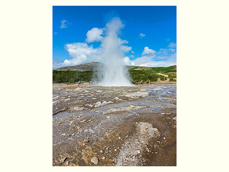 All Images By Ron MacDonnell Roberts.  © 2023.  All Rights Reserved.