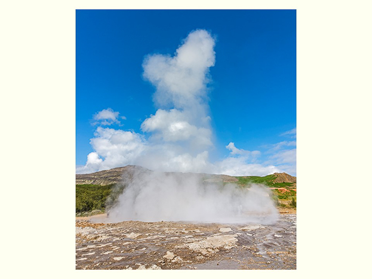 All Images By Ron MacDonnell Roberts.  © 2023.  All Rights Reserved.