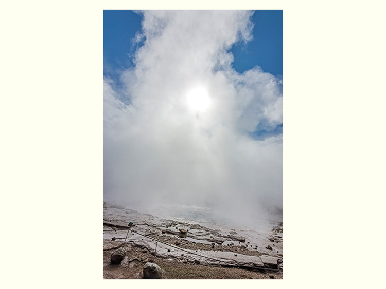 All Images By Ron MacDonnell Roberts.  © 2023.  All Rights Reserved.