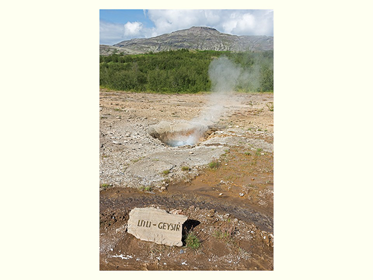 All Images By Ron MacDonnell Roberts.  © 2023.  All Rights Reserved.