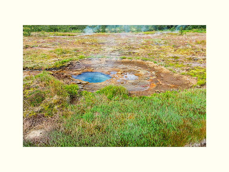 All Images By Ron MacDonnell Roberts.  © 2023.  All Rights Reserved.