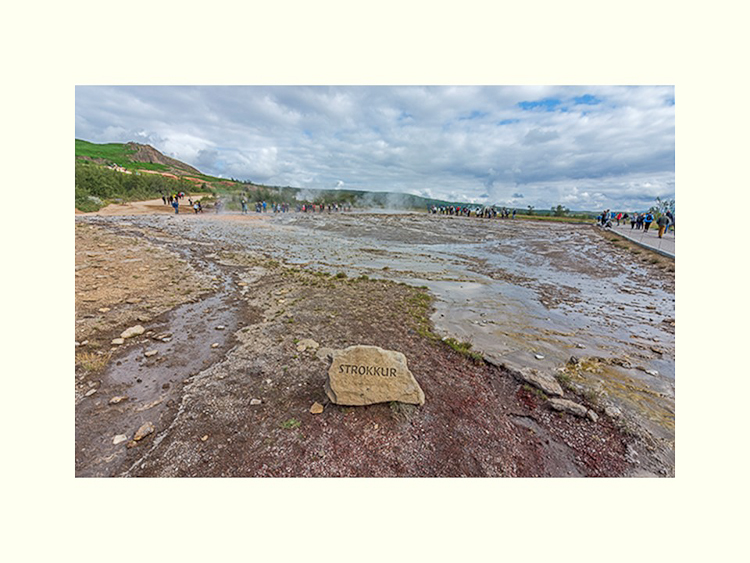 All Images By Ron MacDonnell Roberts.  © 2023.  All Rights Reserved.