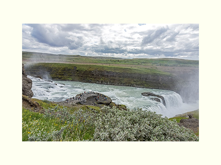 All Images By Ron MacDonnell Roberts.  © 2023.  All Rights Reserved.