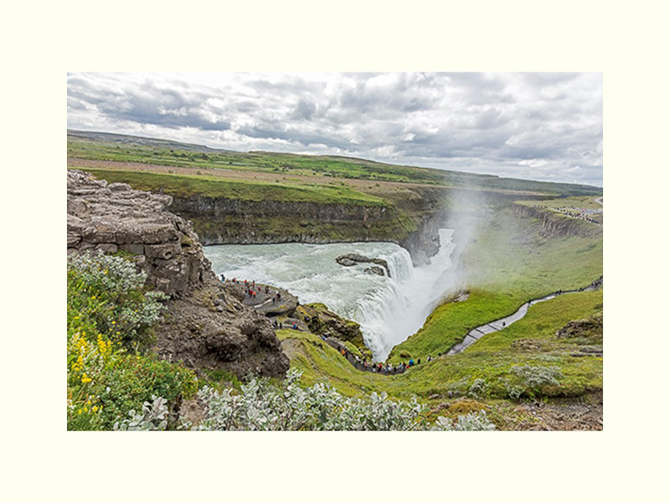 All Images By Ron MacDonnell Roberts.  © 2023.  All Rights Reserved.