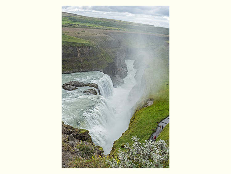 All Images By Ron MacDonnell Roberts.  © 2023.  All Rights Reserved.