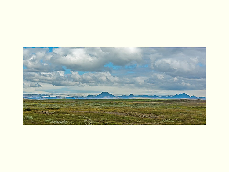 All Images By Ron MacDonnell Roberts.  © 2023.  All Rights Reserved.