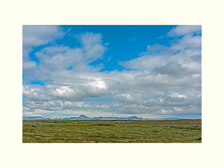 All Images By Ron MacDonnell Roberts.  © 2023.  All Rights Reserved.