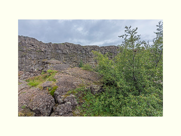 All Images By Ron MacDonnell Roberts.  © 2023.  All Rights Reserved.