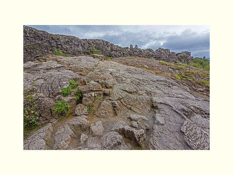 All Images By Ron MacDonnell Roberts.  © 2023.  All Rights Reserved.