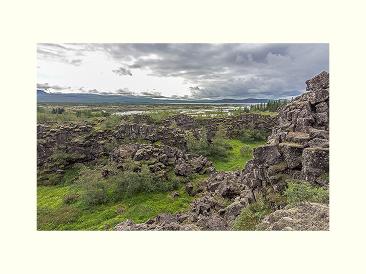 All Images By Ron MacDonnell Roberts.  © 2023.  All Rights Reserved.