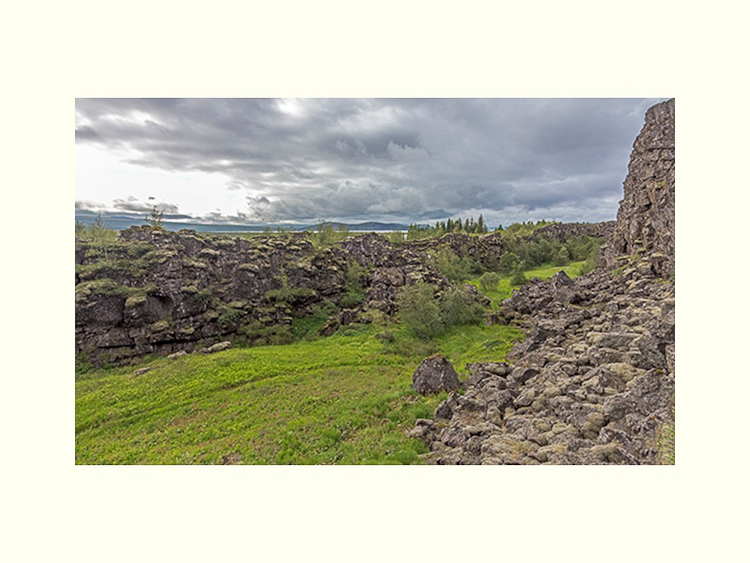 All Images By Ron MacDonnell Roberts.  © 2023.  All Rights Reserved.