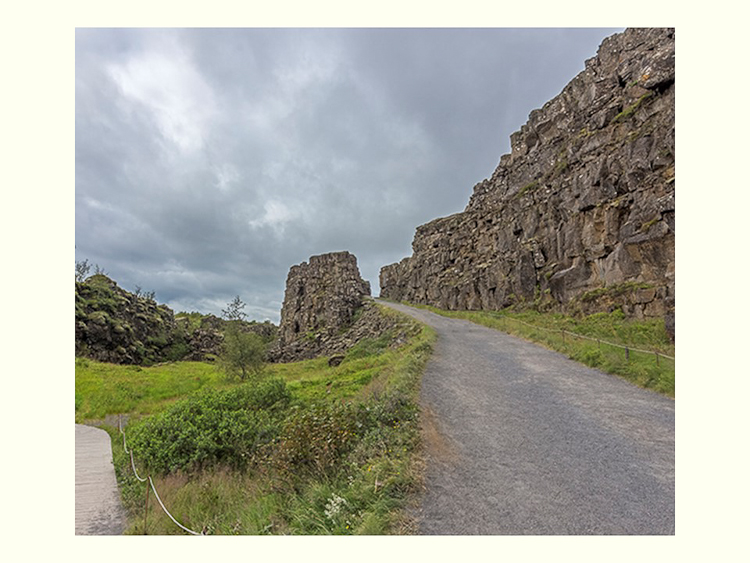 All Images By Ron MacDonnell Roberts.  © 2023.  All Rights Reserved.