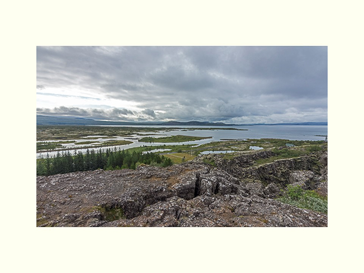 All Images By Ron MacDonnell Roberts.  © 2023.  All Rights Reserved.