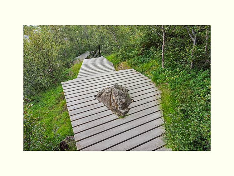 All Images By Ron MacDonnell Roberts.  © 2023.  All Rights Reserved.