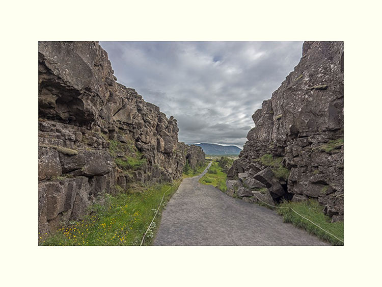 All Images By Ron MacDonnell Roberts.  © 2023.  All Rights Reserved.