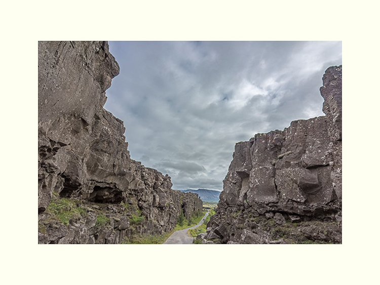 All Images By Ron MacDonnell Roberts.  © 2023.  All Rights Reserved.