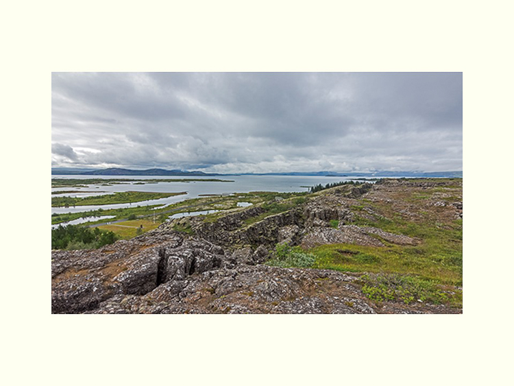 All Images By Ron MacDonnell Roberts.  © 2023.  All Rights Reserved.