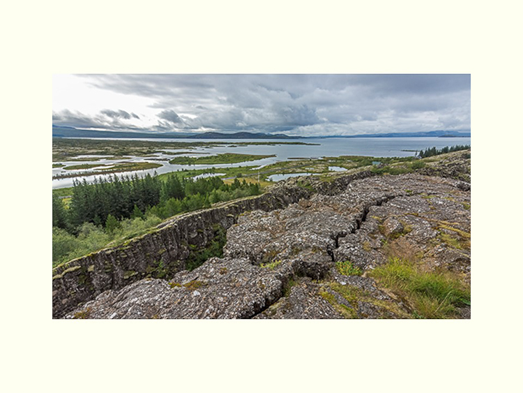 All Images By Ron MacDonnell Roberts.  © 2023.  All Rights Reserved.