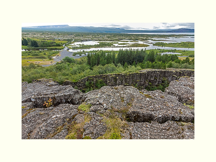 All Images By Ron MacDonnell Roberts.  © 2023.  All Rights Reserved.