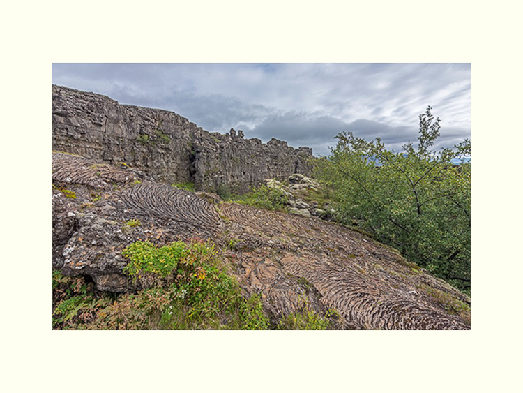 All Images By Ron MacDonnell Roberts.  © 2023.  All Rights Reserved.