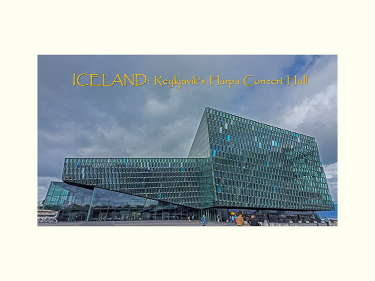 All Images By Ron MacDonnell Roberts.  © 2023.  All Rights Reserved.