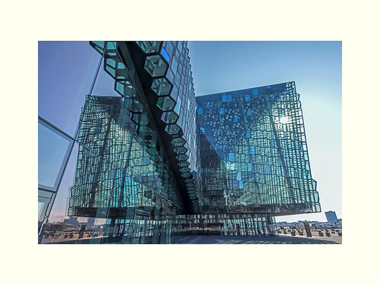 All Images By Ron MacDonnell Roberts.  © 2023.  All Rights Reserved.