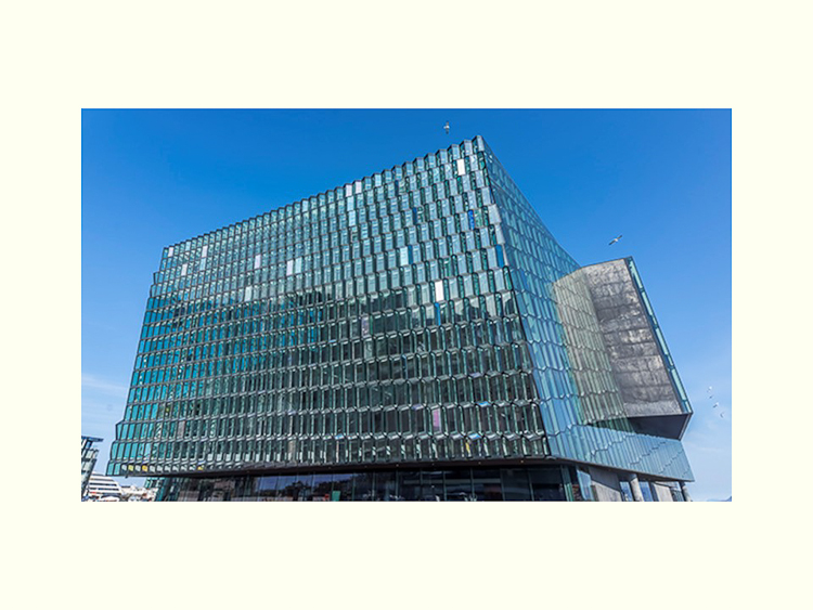 All Images By Ron MacDonnell Roberts.  © 2023.  All Rights Reserved.