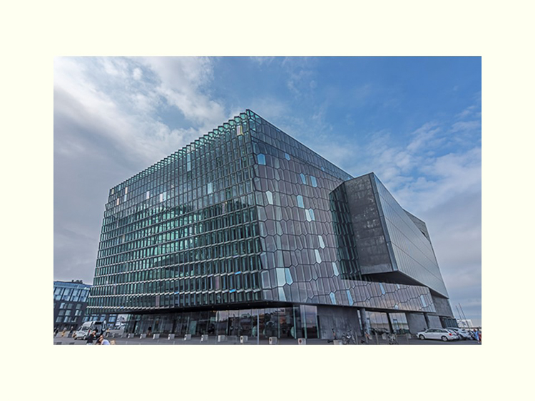 All Images By Ron MacDonnell Roberts.  © 2023.  All Rights Reserved.